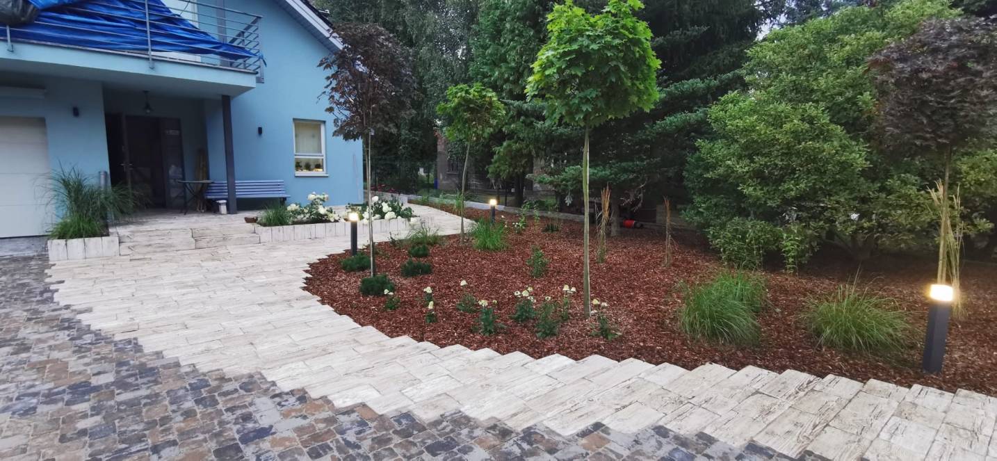 46e50523-f4ee-4cc6-b110-2ccea18c6f45