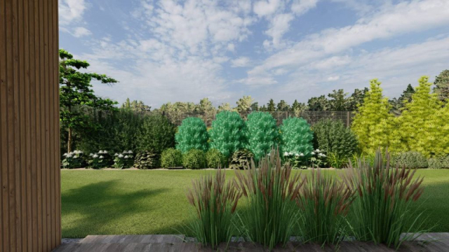 Hornówek_15 – Zdjęcie