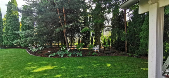 a9b3f20f-448a-46fc-a176-77feaf38bc0b