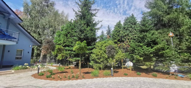 da59027c-c337-4ba6-bf0d-b323f438583d