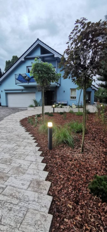 e458e5f1-b2fa-49f5-a3a7-9a7b6db56afc