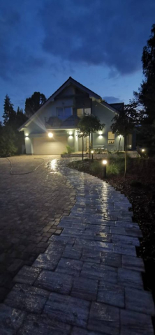 ed07a266-857f-49ae-808f-21538c7999d9